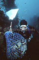 Professional abalone diver working on sea bed with catch bag and float.