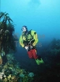 Scuba diver in drysuit. Scuba diver in drysuit.