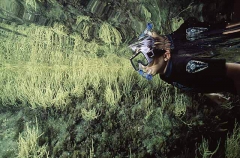 Boy snorkel diver in rock pool. Boy snorkel diver in rock pool.