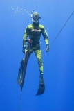 Breathold diver with speargun ascending to the surface. Breathold diver with speargun ascending to the surface.