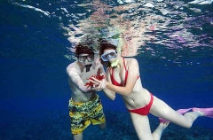 Pencil Sea Urchin (Heterocentrotus mammillatus) Pencil Sea Urchin (Heterocentrotus mammillatus)