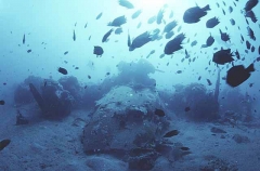 B17 bomber plane wreck underwater with divers. World War 2 casualty during U.S. attack over iron bottom sound. B17 bomber plane wreck underwater with divers. World War 2 casualty during U.S. attack over iron bottom sound.