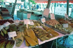 Fish meat and assorted seafood in local market. Fish meat and assorted seafood in local market.