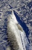 Bottlenose Dolphin (Tursiops truncatus) Bottlenose Dolphin (Tursiops truncatus)