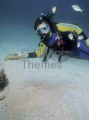Numbfish or Coffin Ray (Hypnos monopterygium) Numbfish or Coffin Ray (Hypnos monopterygium)