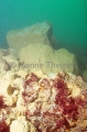 Rubble and boulders on seabed created by dredging operations. Rubble and boulders on seabed created by dredging operations.
