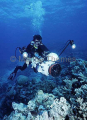 Cameraman filming over coral reef. Cameraman filming over coral reef.