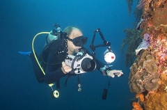 Diver with underwater camera photographing coral reef life. Diver with underwater camera photographing coral reef life.