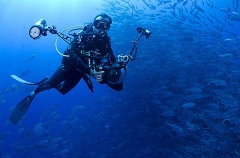 Diver with underwater camera with Bigeye Trevally (Caranx sexfasciatus) Diver with underwater camera with Bigeye Trevally (Caranx sexfasciatus)