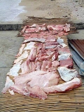 Mobula or Devil Ray meat drying. Mobula or Devil Ray meat drying.