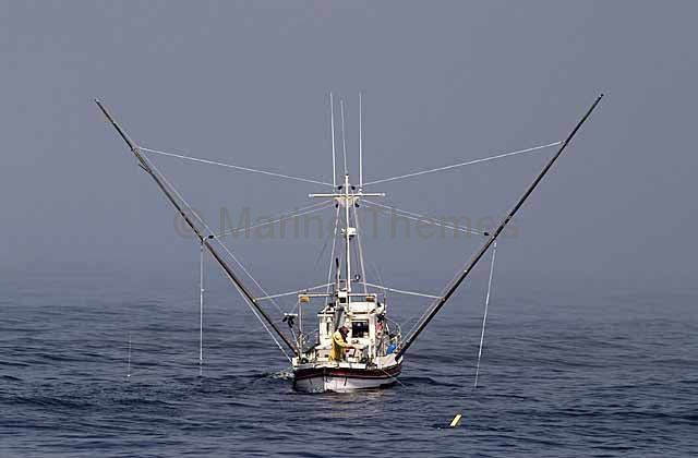 Small fishing boat trolling lines for salmon. boat trawler troll trawl  Fishing and Aquaculture Archives - MarineThemes Stock Photo Library