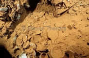 Crockery in Heian Maru, Japanese WW II shipwreck. Crockery in Heian Maru, Japanese WW II shipwreck.