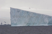 Detail of iceberg Detail of iceberg