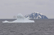 Small iceberg in Bransfield Strait eroded into the shape of a beluga whale head. Small iceberg in Bransfield Strait eroded into the shape of a beluga whale head.