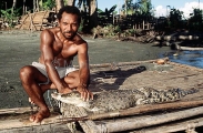 Indigenous hunter on outrigger canoe with captured Saltwater Crocodile (Crocodylus porosus) Indigenous hunter on outrigger canoe with captured Saltwater Crocodile (Crocodylus porosus)