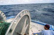 Fishermen setting shark net. Fishermen setting shark net.