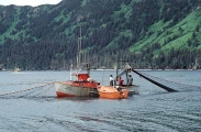 Perse seiner salmon fishing boat setting nets. Perse seiner salmon fishing boat setting nets.