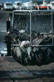 Unloading salmon from fish vessel. Unloading salmon from fish vessel.