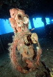 Helm or steering wheel on the bridge of the Nippo Maru, Japanese WW II shipwreck. Helm or steering wheel on the bridge of the Nippo Maru, Japanese WW II shipwreck.