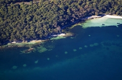 White sand patches in sea grass bed from seismic tests for proposed nuclear power station. Patches still barren of sea grass after 40 years. White sand patches in sea grass bed from seismic tests for proposed nuclear power station. Patches still barren of sea grass after 40 years.