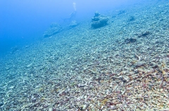 Reef slope covered in coral rubble, the result of cyclone storm. Reef slope covered in coral rubble, the result of cyclone storm.