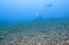 Reef slope covered in coral rubble, the result of cyclone storm. Reef slope covered in coral rubble, the result of cyclone storm.