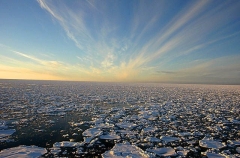 Loose pack ice at sunset. Loose pack ice at sunset.