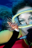 Hawaiian Turkeyfish (Pterois sphex) Hawaiian Turkeyfish (Pterois sphex)
