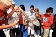Researcher teaching children how to collect plankton with plankton net. Researcher teaching children how to collect plankton with plankton net.