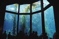 Aquarium viewing area with tourists. Aquarium viewing area with tourists.