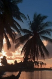 Sunset over coconut trees on edge of lagoon and island beach. Sunset over coconut trees on edge of lagoon and island beach.