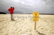 Pollution warning sign on beach. Pollution warning sign on beach.