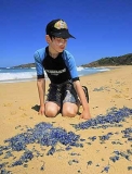 Portuguese Man-of-war or Blue Bottle Jellyfish (Physalia physalis) Portuguese Man-of-war or Blue Bottle Jellyfish (Physalia physalis)