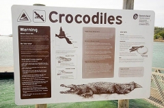 Saltwater Crocodile (Crocodylus porosus) Saltwater Crocodile (Crocodylus porosus)