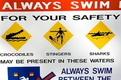 Sign on tropical beach warning against dangers to swimmers which have potentially fatal consequences. Sign on tropical beach warning against dangers to swimmers which have potentially fatal consequences.