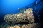 Small tank, type 95 with 37mm gun, on the deck of the San Francisco Maru, Japanese WW II shipwreck. Small tank, type 95 with 37mm gun, on the deck of the San Francisco Maru, Japanese WW II shipwreck.