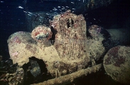 Troop transport truck on the deck of the San Francisco Maru, Japanese WW II shipwreck. Troop transport truck on the deck of the San Francisco Maru, Japanese WW II shipwreck.