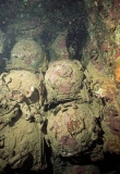 Land mines stacked in forward hold of the San Francisco Maru, Japanese WW II shipwreck.