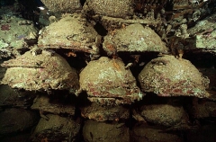 Land mines stacked in forward hold of the San Francisco Maru, Japanese WW II shipwreck.