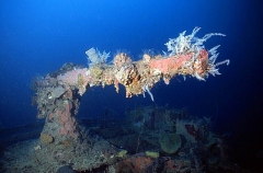 Artillery gun on the foredeck of the San Francisco Maru, Japanese WW II shipwreck. Artillery gun on the foredeck of the San Francisco Maru, Japanese WW II shipwreck.