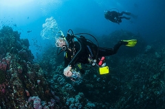 Divers, with cameras, swimming along coral reef slope. Divers, with cameras, swimming along coral reef slope.