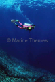Diver descending over reef slope. Diver descending over reef slope.