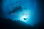 Diver on coral reef under Banca outrigger dive boat. Diver on coral reef under Banca outrigger dive boat.