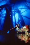 Diver exploring under oil rig legs. Diver exploring under oil rig legs.