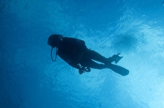 Scuba diving descending from the surface. Scuba diving descending from the surface.