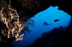Diver at cavern entrance. Diver at cavern entrance.