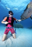 Diver with Humpheaded Maori Wrasse or Napoleon Wrasse (Cheilinus undulatus) Diver with Humpheaded Maori Wrasse or Napoleon Wrasse (Cheilinus undulatus)