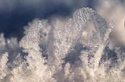 Frost ice crystals forming on sea ice. Frost ice crystals forming on sea ice.