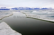 Lead or split in sea ice during sping thaw. Lead or split in sea ice during sping thaw.