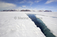 Lead or split in sea ice during sping thaw. Lead or split in sea ice during sping thaw.